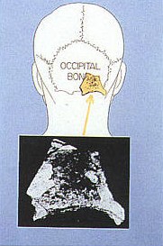 Conspiracy interpretation of source of Harper fragment